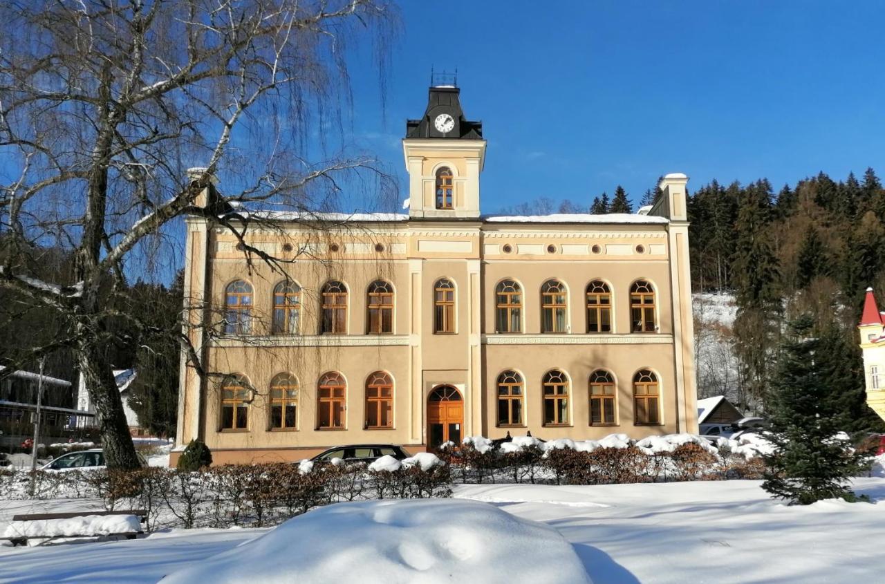 Apartamento Pod Strechou Svoboda nad Úpou Exterior foto